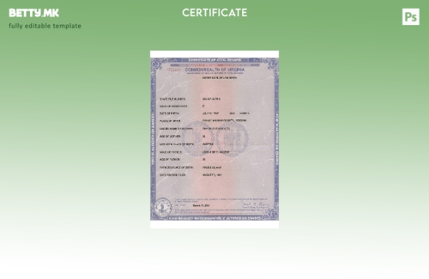 Модерен стил САД Вирџинија шаблон сертификат за живо раѓање